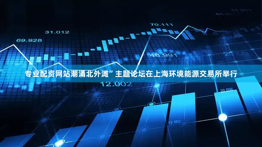 专业配资网站潮涌北外滩”主题论坛在上海环境能源交易所举行