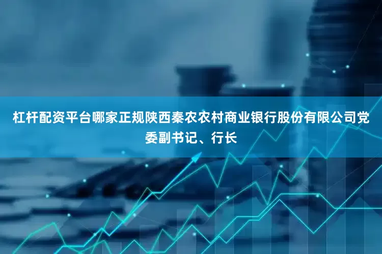 杠杆配资平台哪家正规陕西秦农农村商业银行股份有限公司党委副书记、行长
