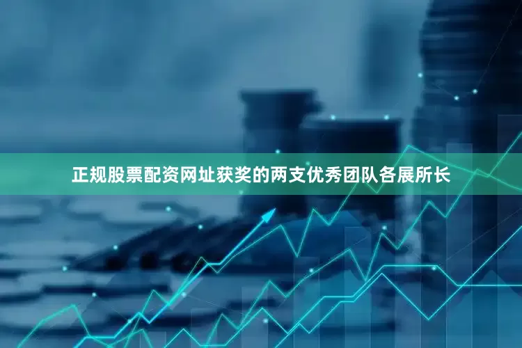 正规股票配资网址获奖的两支优秀团队各展所长